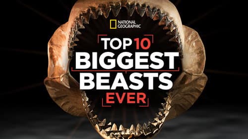Top 10 Biggest Beasts Ever still