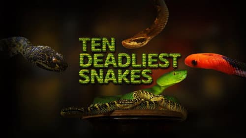 Ten Deadliest Snakes with Nigel Marven still