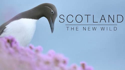 Scotland: The New Wild still