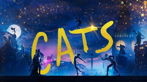 Cats still