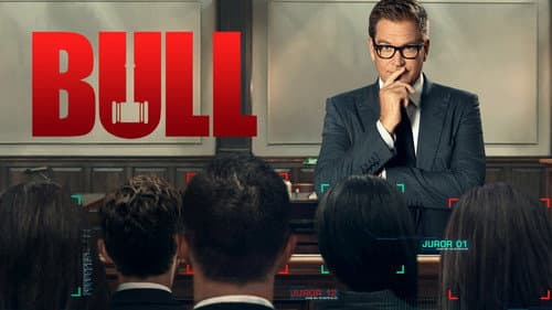 Bull still