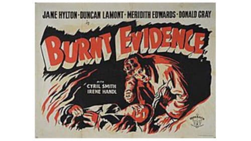 Burnt Evidence still