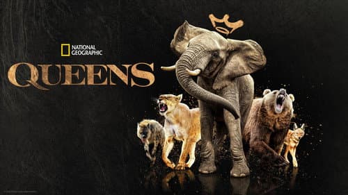 Queens still