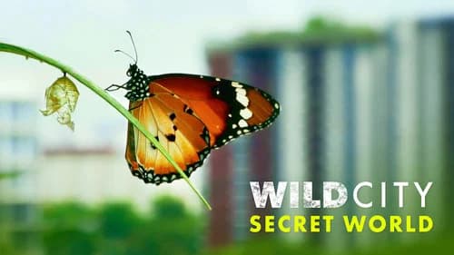 Wild City still