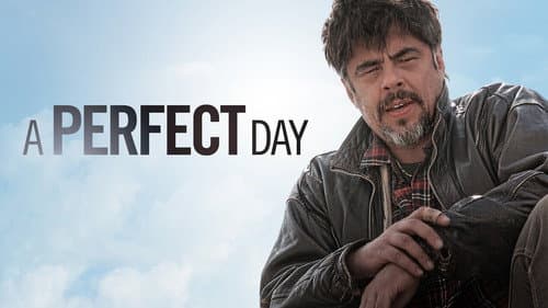 A Perfect Day still