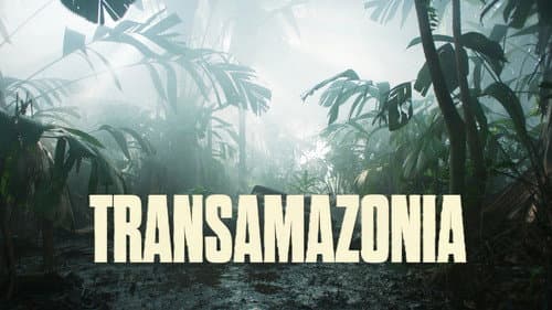 Transamazonia still