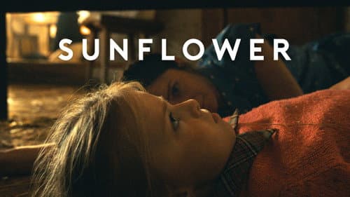 Sunflower still