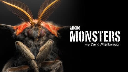 Micro Monsters with David Attenborough still