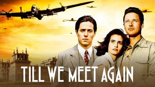 Judith Krantz's Till We Meet Again still