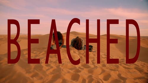 Beached still
