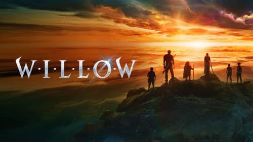 Willow still