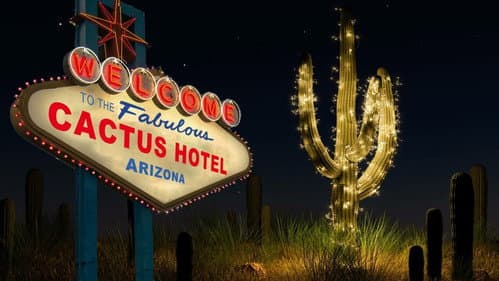 Cactus Hotel still