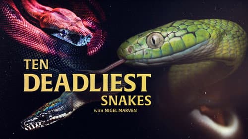 Ten Deadliest Snakes with Nigel Marven still