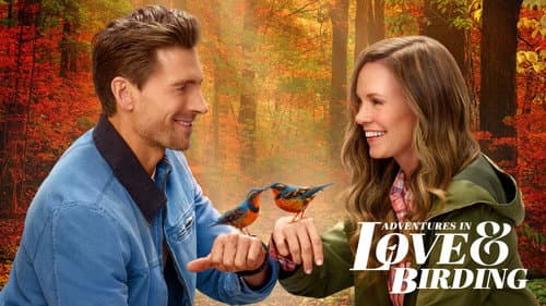 Adventures in Love & Birding still
