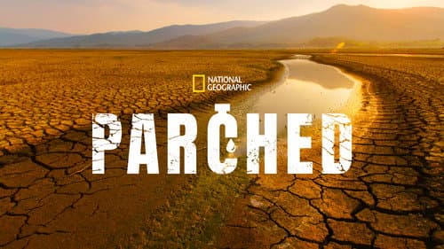 Parched still