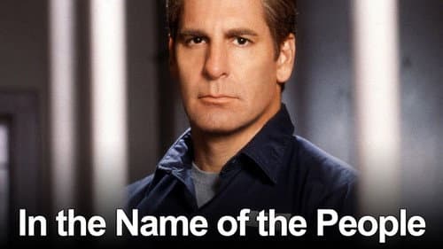 In the Name of the People still