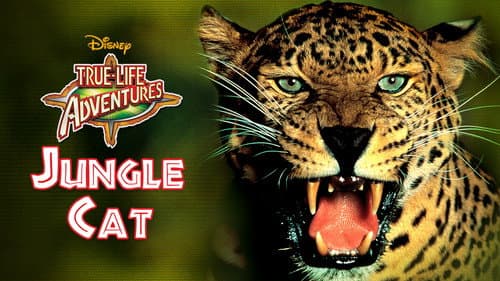 Jungle Cat still