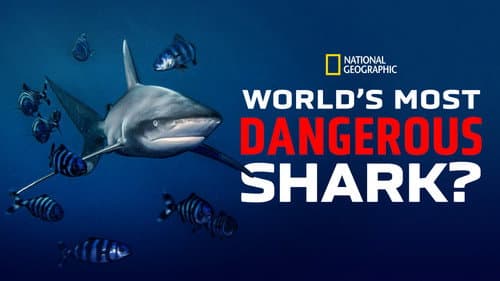 World's Most Dangerous Shark? still