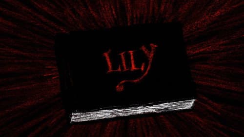 Lily still