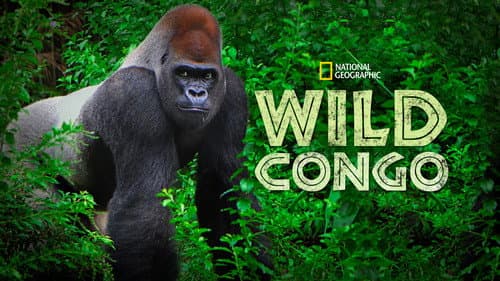 Wild Congo still
