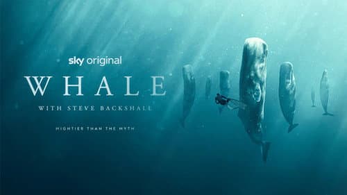 Whale with Steve Backshall still