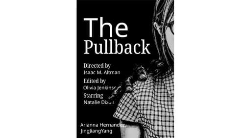 The Pullback still