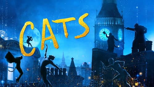 Cats still