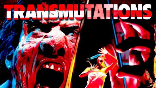 Transmutations still