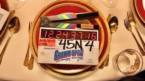 Grown Ups 3 still