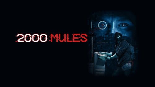 2000 Mules still