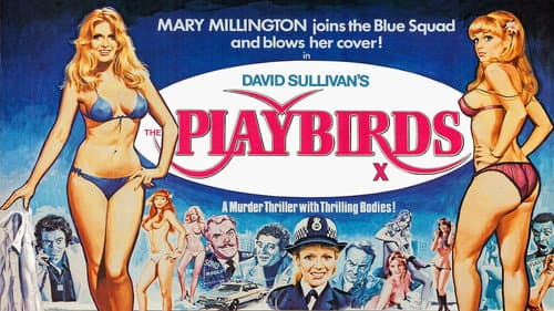 The Playbirds still