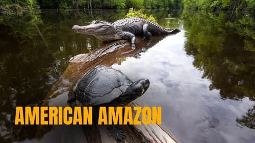 American Amazon still