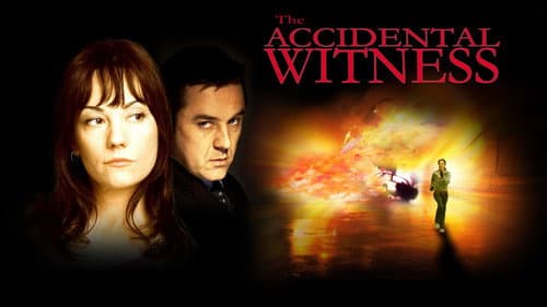 The Accidental Witness still