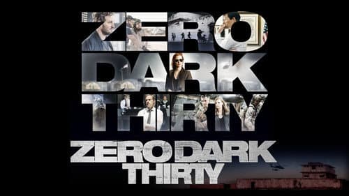 Zero Dark Thirty still