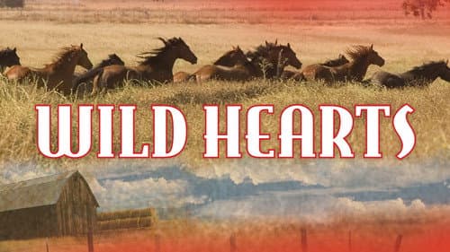 Wild Hearts still