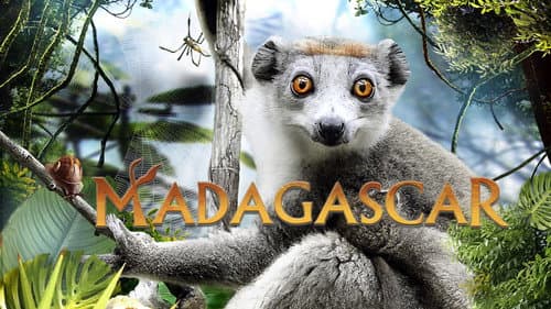 Madagascar 3D still