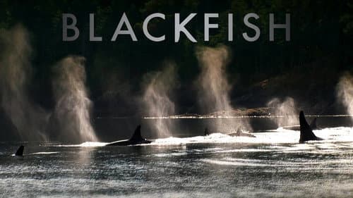 Blackfish still
