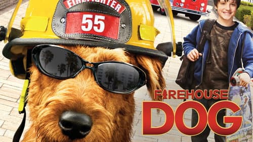 Firehouse Dog still