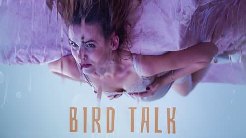 Bird Talk still
