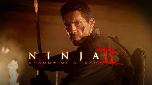 Ninja: Shadow of a Tear still