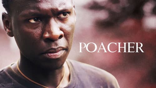 Poacher still