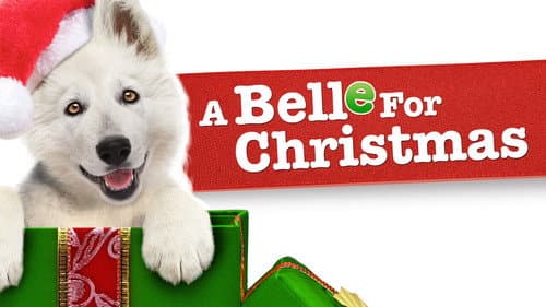 A Belle for Christmas still