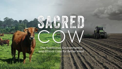 Sacred Cow: The Nutritional, Environmental and Ethical Case for Better Meat still