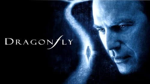 Dragonfly still