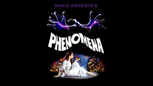 Phenomena still