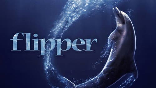 Flipper still