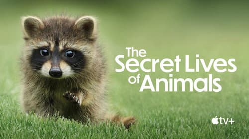 The Secret Lives of Animals still