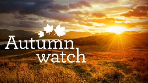 Autumnwatch still