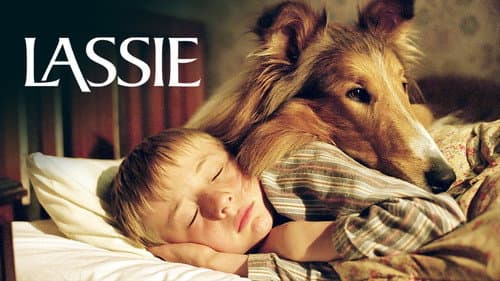 Lassie still