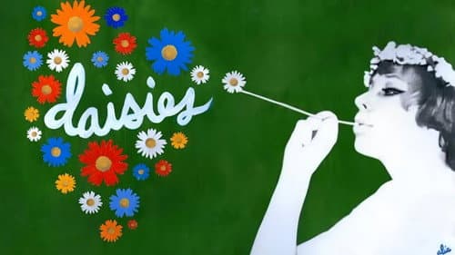 Daisies still